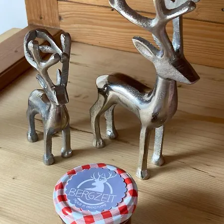 Alpenflair 311 Bergzeit * Oberstdorf